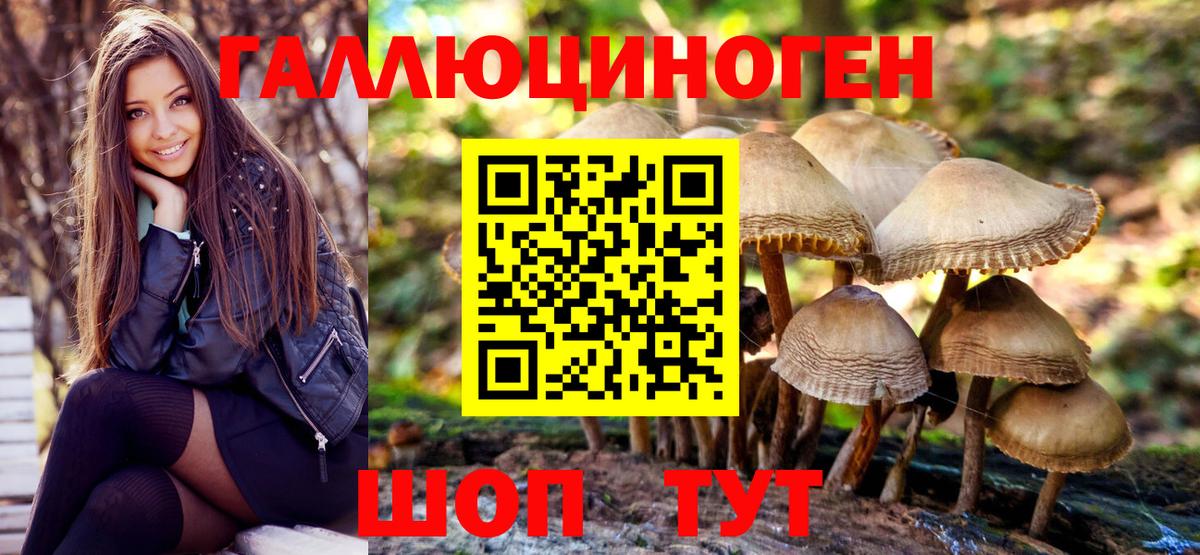 Галлюциногенные грибы MAGIC MUSHROOMS  закладки  Сегежа  Вход с VPN  Галлюциногенные грибы прущие грибы 